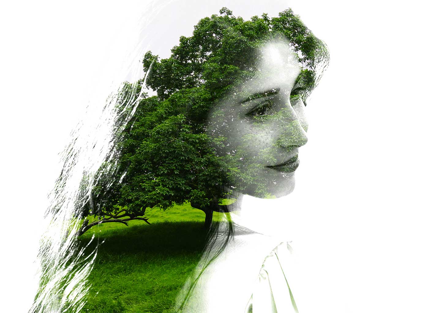 woman with trees in hair silhouette